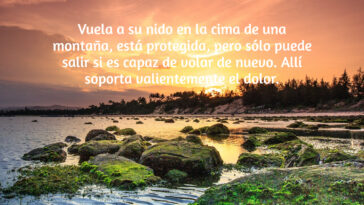 frases reflexiones