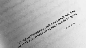 frases de amor en libros